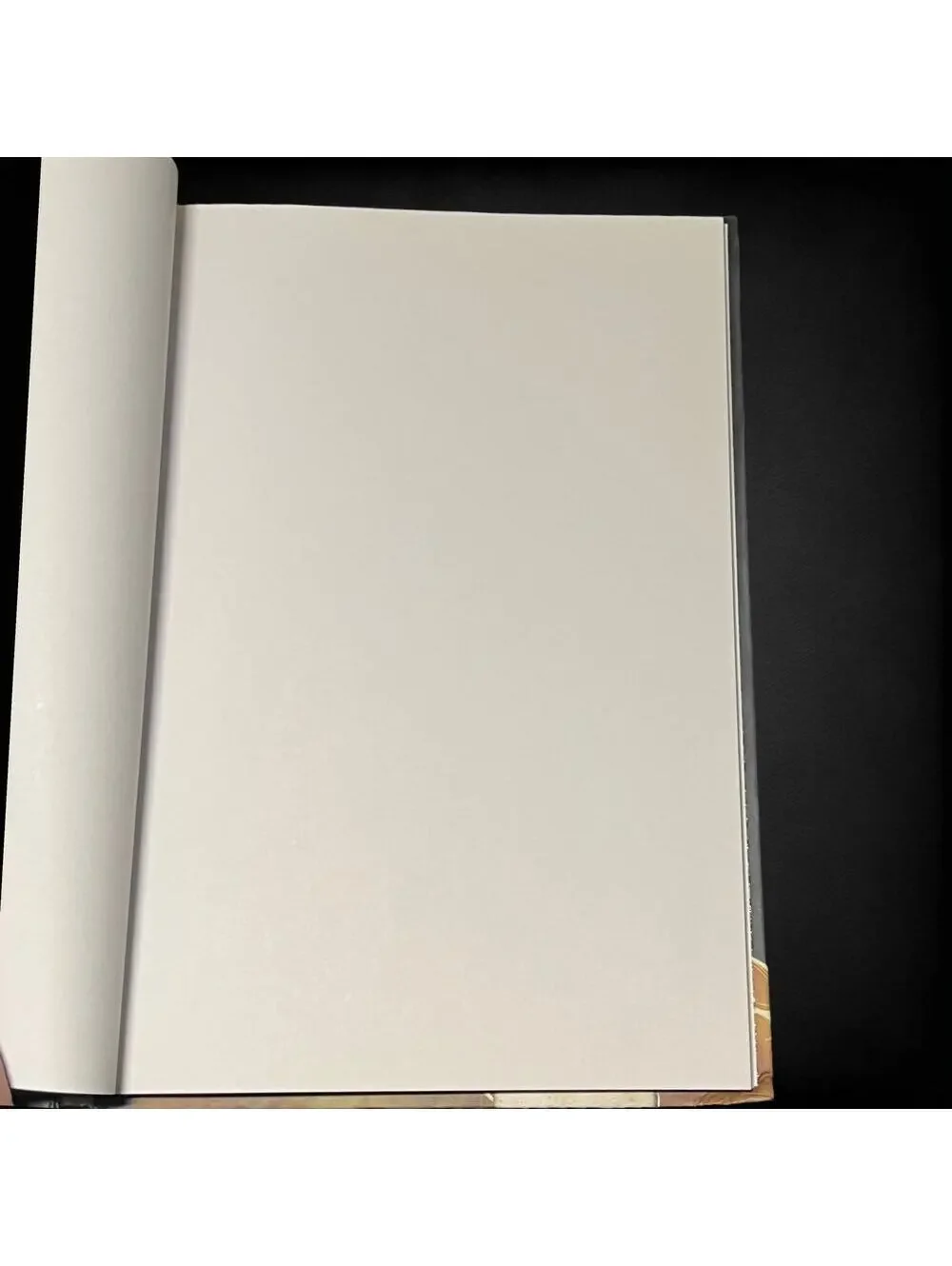 Apuntes de Colores Spanish Hardcover Play Attitude 2011 Sketchbook Journal Art